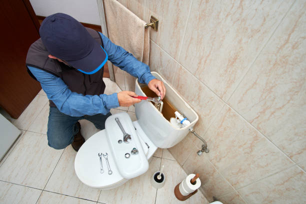 Best Local Plumber Services  in Crystal, MN