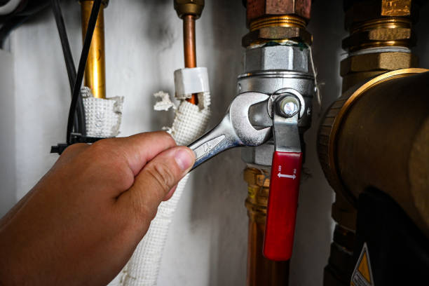 Best Residential Plumbing Services  in Crystal, MN